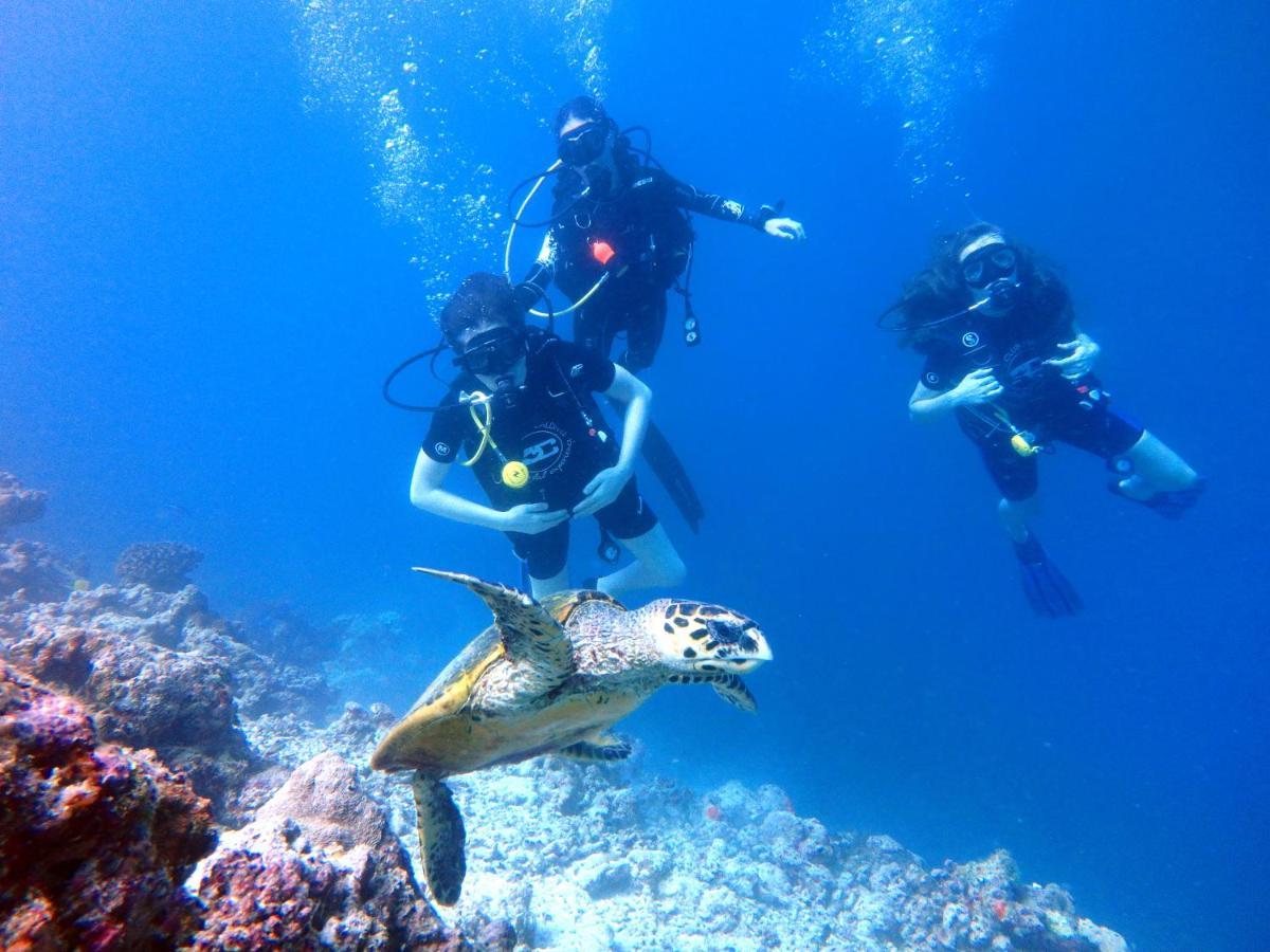 Furaveri Maldives - Complimentary Round-Trip Seaplane Transfer For Two For A Minimum Of 5 Nights Or More From May 1St To October 31St, 2025 Meedhoo  Exterior foto Scuba divers with a hawksbill turtle